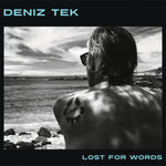 Deniz Tek : Lost For Words (LP,Album)