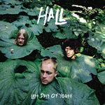 Hall (17) : Last Days Of Youth (LP)