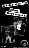 Tinopeners : I Want You/I Don't Wanna Be (7")