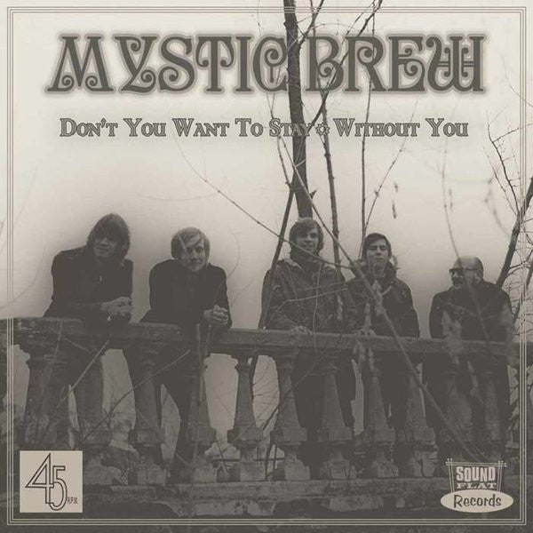 Mystic Brew : Don't You Want To Stay (7",Single)